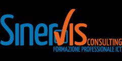 Sinervis consulting srl
